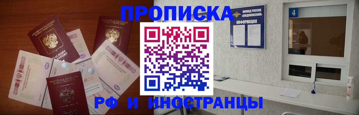 прописка ребенка в Лосино-Петровском